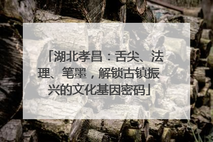 湖北孝昌：舌尖、法理、笔墨，解锁古镇振兴的文化基因密码