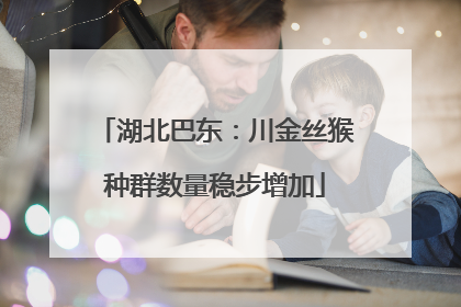 湖北巴东：川金丝猴种群数量稳步增加