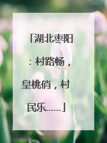 湖北枣阳：村路畅，皇桃俏，村民乐……