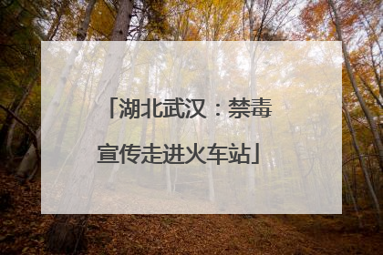 湖北武汉：禁毒宣传走进火车站