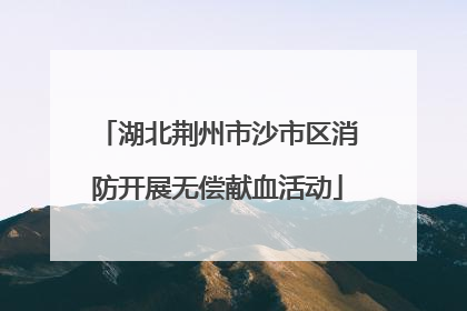 湖北荆州市沙市区消防开展无偿献血活动