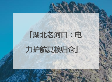 湖北老河口：电力护航夏粮归仓