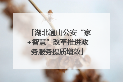 湖北通山公安“家+智慧”改革推进政务服务提质增效