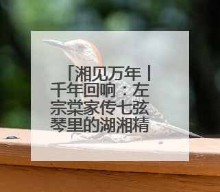 湘见万年丨千年回响：左宗棠家传七弦琴里的湖湘精神印记