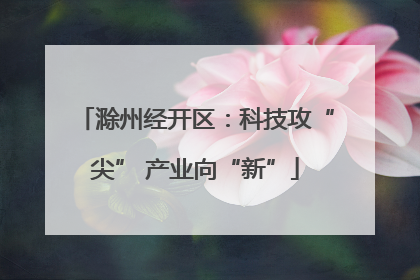 滁州经开区：科技攻“尖” 产业向“新”