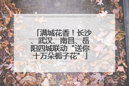 满城花香！长沙、武汉、南昌、岳阳四城联动“送你十万朵栀子花”
