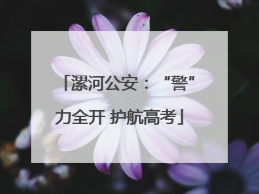 漯河公安：“警”力全开 护航高考