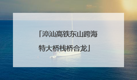 漳汕高铁东山跨海特大桥栈桥合龙