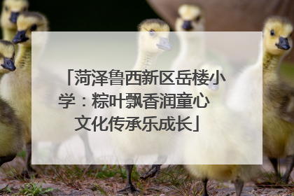 菏泽鲁西新区岳楼小学：粽叶飘香润童心 文化传承乐成长