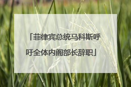 菲律宾总统马科斯呼吁全体内阁部长辞职
