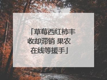 草莓西红柿丰收却滞销 果农在线等援手