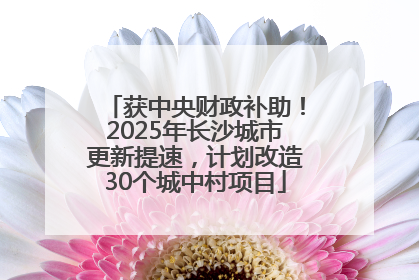获中央财政补助！2025年长沙城市更新提速，计划改造30个城中村项目