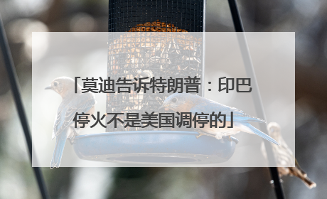莫迪告诉特朗普：印巴停火不是美国调停的