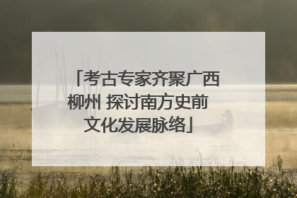 考古专家齐聚广西柳州 探讨南方史前文化发展脉络