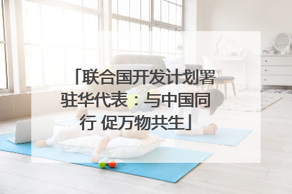 联合国开发计划署驻华代表：与中国同行 促万物共生