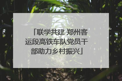 联学共建 郑州客运段高铁车队党员干部助力乡村振兴