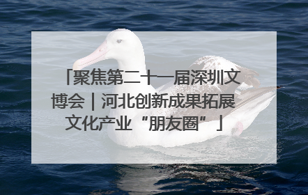 聚焦第二十一届深圳文博会｜河北创新成果拓展文化产业“朋友圈”