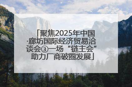 聚焦2025年中国·廊坊国际经济贸易洽谈会③一场“链主会” 助力厂商破圈发展
