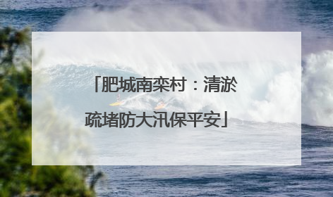 肥城南栾村：清淤疏堵防大汛保平安