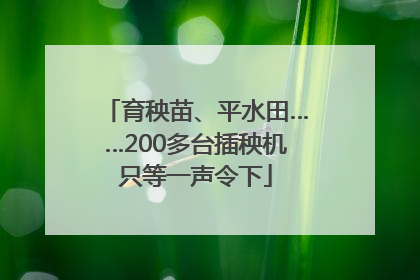 育秧苗、平水田……200多台插秧机只等一声令下