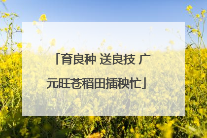 育良种 送良技 广元旺苍稻田插秧忙