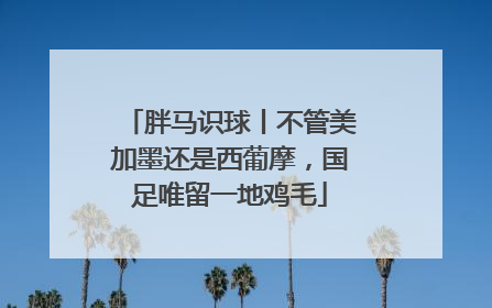 胖马识球丨不管美加墨还是西葡摩，国足唯留一地鸡毛