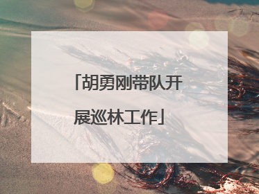 胡勇刚带队开展巡林工作