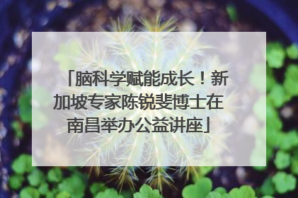 脑科学赋能成长！新加坡专家陈锐斐博士在南昌举办公益讲座