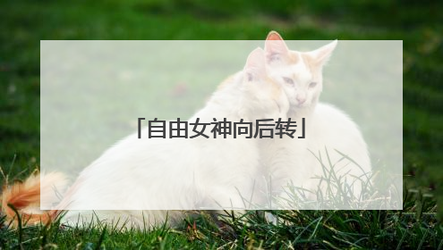 自由女神向后转