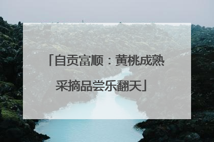 自贡富顺：黄桃成熟 采摘品尝乐翻天