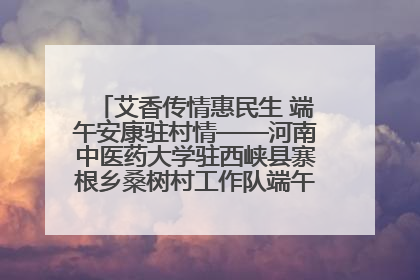 艾香传情惠民生 端午安康驻村情——河南中医药大学驻西峡县寨根乡桑树村工作队端午中医惠民记