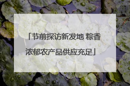 节前探访新发地 粽香浓郁农产品供应充足
