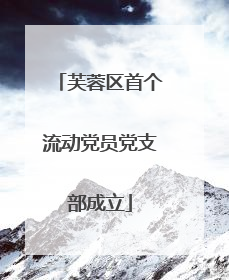 芙蓉区首个流动党员党支部成立