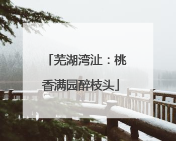 芜湖湾沚：桃香满园醉枝头