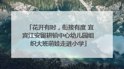花开有时，衔接有度 宜宾江安留耕镇中心幼儿园组织大班萌娃走进小学