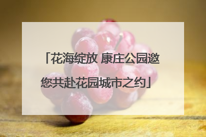 花海绽放 康庄公园邀您共赴花园城市之约