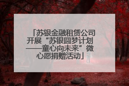 苏银金融租赁公司开展“苏银圆梦计划——童心向未来”微心愿捐赠活动
