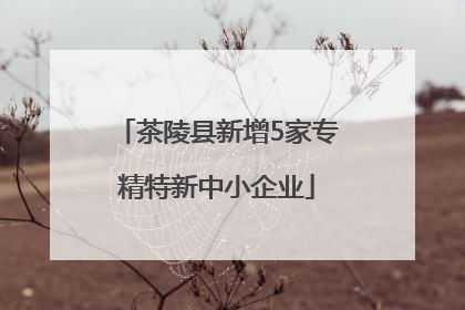 茶陵县新增5家专精特新中小企业