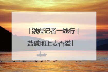融媒记者一线行｜盐碱地上麦香溢