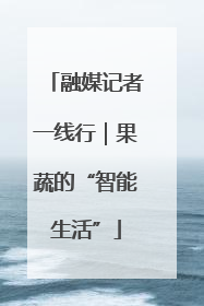 融媒记者一线行｜果蔬的“智能生活”