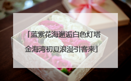 蓝紫花海邂逅白色灯塔 金海湾初夏浪漫引客来