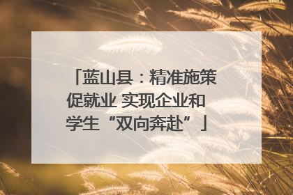 蓝山县：精准施策促就业 实现企业和学生“双向奔赴”