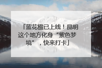 蓝花楹已上线！昆明这个地方化身“紫色梦境”，快来打卡
