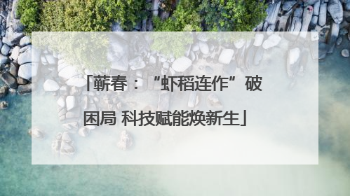 蕲春：“虾稻连作”破困局 科技赋能焕新生