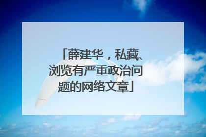 薛建华，私藏、浏览有严重政治问题的网络文章