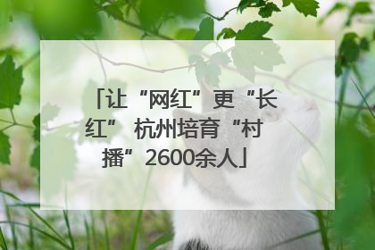 让“网红”更“长红” 杭州培育“村播”2600余人