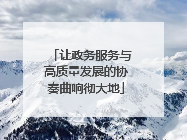 让政务服务与高质量发展的协奏曲响彻大地