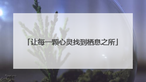 让每一颗心灵找到栖息之所
