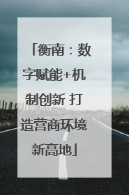 衡南：数字赋能+机制创新 打造营商环境新高地