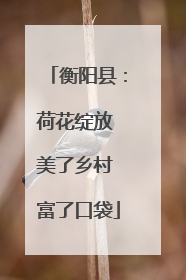 衡阳县：荷花绽放 美了乡村 富了口袋